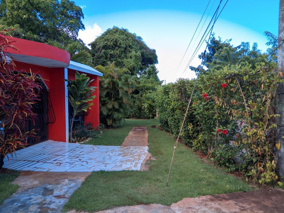 Las Galeras Island Hostel 외부 사진